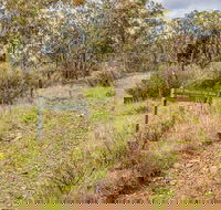 Old Mountain Road Walking Track - Tourism Canberra