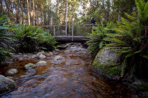 O'Neills Creek Picnic Reserve - Tourism Canberra 0
