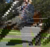 Otford Farm Horse Riding - Tourism Canberra