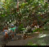 Palms picnic area - Tourism Canberra