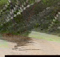 Riverview walking track - Tourism Canberra