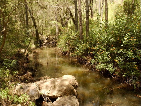 Sandy Creek Track - Tourism Canberra 0