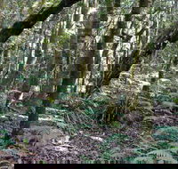 Summit Walking Track Mount Hyland Nature Reserve - Tourism Canberra