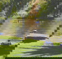 The Lions Junction Park - Tumut - Tourism Canberra