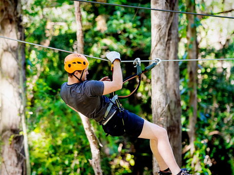 TreeTop Challenge Currumbin Wildlife Sanctuary - Tourism Canberra 0