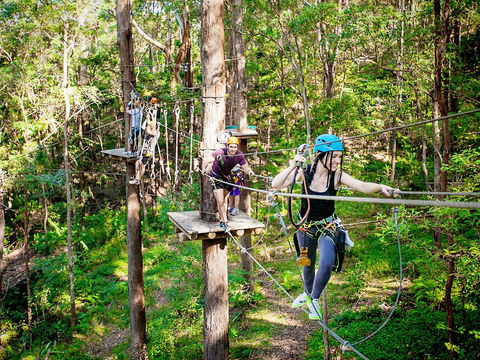 TreeTop Challenge Currumbin Wildlife Sanctuary - Tourism Canberra 1