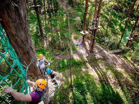 TreeTop Challenge Currumbin Wildlife Sanctuary - Tourism Canberra 2