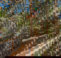 TreeTops Sydney The Hills - Tourism Canberra