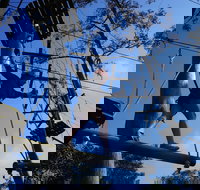 Trees Adventure Nowra Park - Tourism Canberra