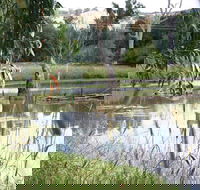 Tumut Wetlands - Tourism Canberra