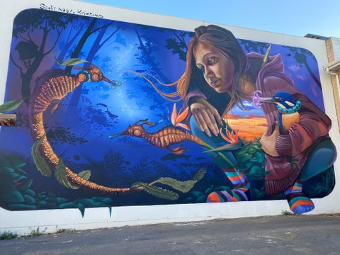 Walk The Walls Cronulla Street Art Trail - Tourism Canberra 0