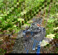 Yarra Ranges National Park - Tourism Canberra