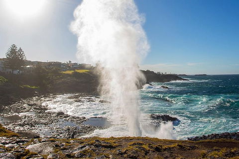 Private Tour: Sydney South Coast & Highlands - Tourism Canberra 4