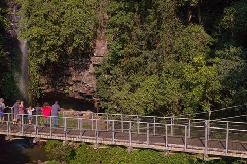 Rainforest & Waterfall Experience - Tourism Canberra 4