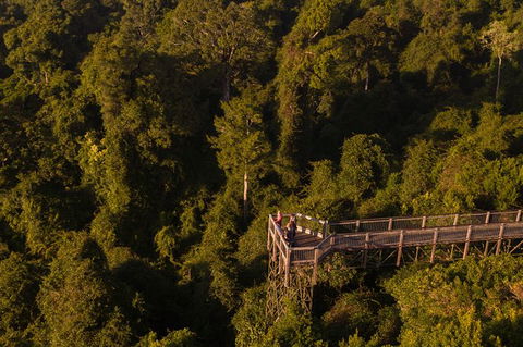 Rainforest & Waterfall Experience - Tourism Canberra 5