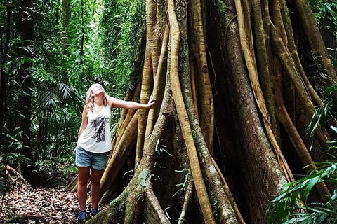 Rainforest & Waterfall Experience - Tourism Canberra 3