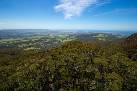 Illawarra Fly Treetop Adventures Treetop Walk Admission Ticket - Tourism Canberra 6
