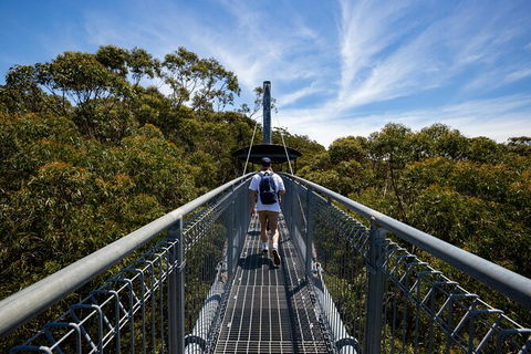 Illawarra Fly Treetop Adventures Treetop Walk Admission Ticket - Tourism Canberra 0