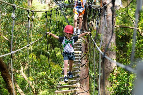 Illawarra Fly Treetop Adventures Treetop Walk Admission Ticket - Tourism Canberra 3