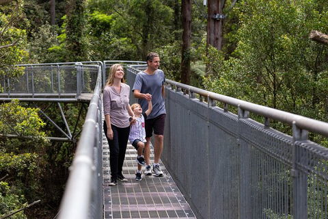 Illawarra Fly Treetop Adventures Treetop Walk Admission Ticket - Tourism Canberra 1