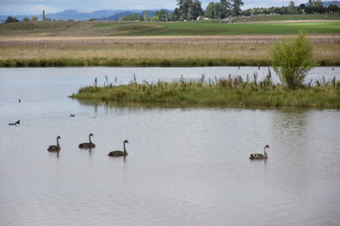 Beardy Waters Dam And Woodlands - Tourism Canberra 0