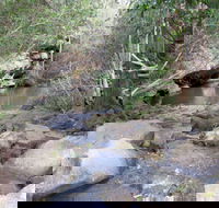 Bomaderry Creek Regional Park - Tourism Canberra