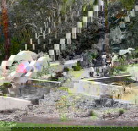 Maroochy Regional Bushland Botanic Garden - Tourism Canberra