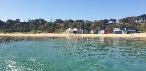 Mothers Beach, Mornington - Tourism Canberra 0