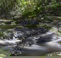 Protesters Falls Walking Track - Tourism Canberra