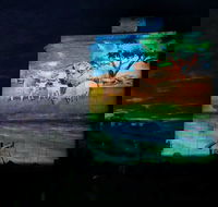 Quorn Silo Light Show - Tourism Canberra