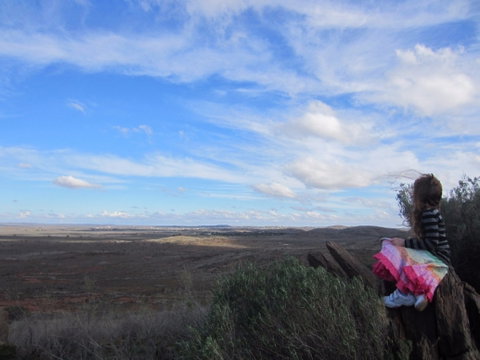 Sundown Nature Trail - Tourism Canberra 1
