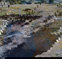 Wangaraleednie Monument  Ruins - Tourism Canberra