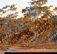Yawura Yarun - Tourism Canberra