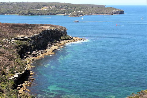 Half Day Manly Beach And More - Tourism Canberra 9