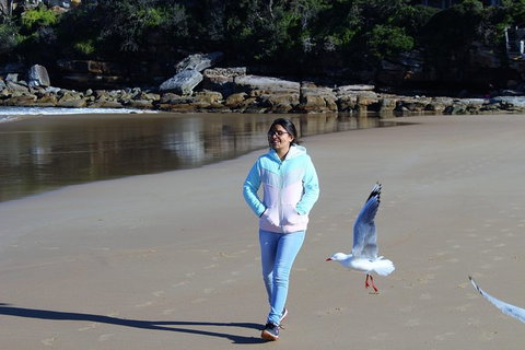 Half Day Manly Beach And More - Tourism Canberra 6