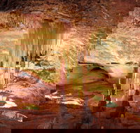 Jenolan Caves Ribbon Cave Tour - Tourism Canberra