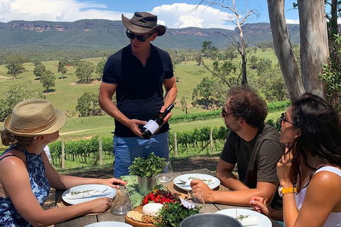 Private Blue Mountains And Wildlife Park Tour From Sydney With Barbecue Lunch - Tourism Canberra 21