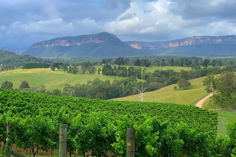 Private Blue Mountains And Wildlife Park Tour From Sydney With Barbecue Lunch - Tourism Canberra 2