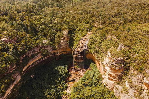 Private Blue Mountains And Wildlife Park Tour From Sydney With Barbecue Lunch - Tourism Canberra 15