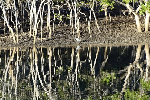 Sunset Eco Rainforest River Cruise - Tourism Canberra 3