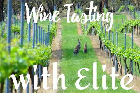 Six Hour - Plan Your Own Wine And Cheese Tour Hunter Valley - Tourism Canberra 7