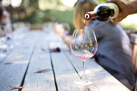 Six Hour - Plan Your Own Wine And Cheese Tour Hunter Valley - Tourism Canberra 5