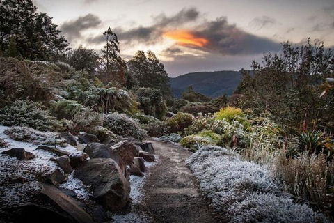 Blue Mountains Botanic Garden And Bilpin Tour From Katoomba With Cider Tasting - Tourism Canberra 2