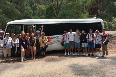 Private 13 Seat Mini Bus Sydney CBD To BankWest Stadium Transfer - Tourism Canberra 4