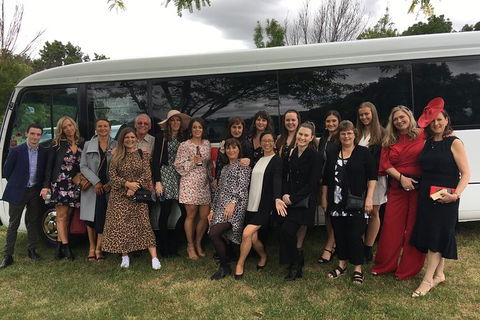 Private 13 Seat Mini Bus Sydney CBD To BankWest Stadium Transfer - Tourism Canberra 5