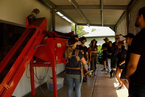 Pecan Farm Tour And Workshop, Byron Bay Hinterland - Tourism Canberra 4