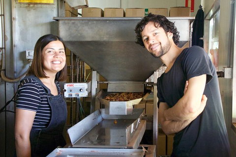 Pecan Farm Tour And Workshop, Byron Bay Hinterland - Tourism Canberra 7