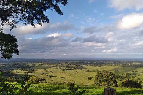 Pecan Farm Tour And Workshop, Byron Bay Hinterland - Tourism Canberra 1