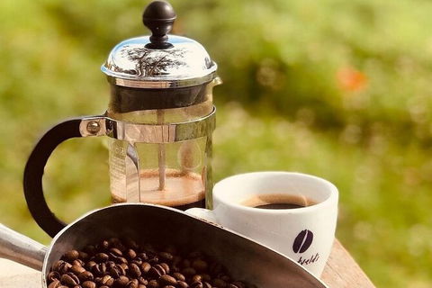 Coffee Farm Tour And Workshop, Byron Bay Hinterland - Tourism Canberra 0