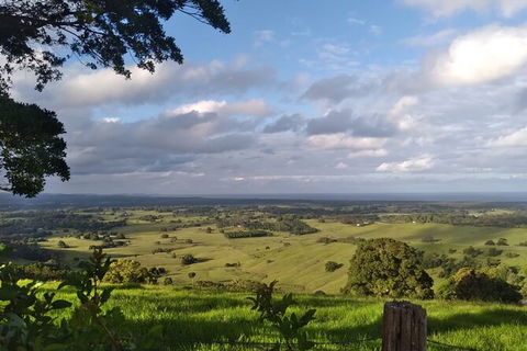 Coffee Farm Tour And Workshop, Byron Bay Hinterland - Tourism Canberra 4